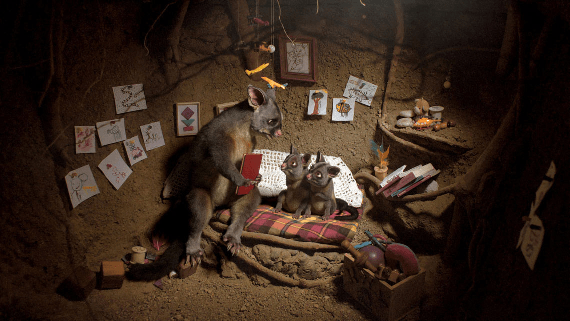 Accidents Blunders and Calamities