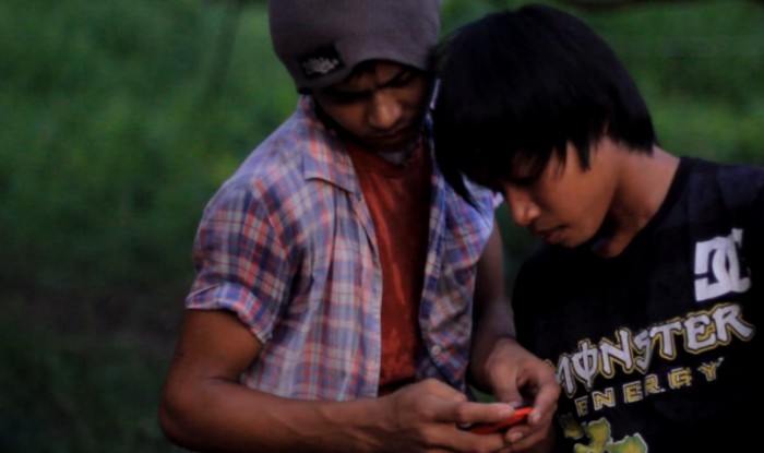 Of cats dogs farm animals