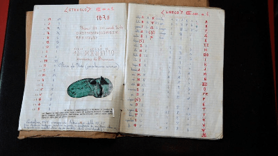 An Inaccurate Distance