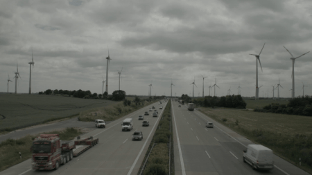 fukushima-and-the-bats