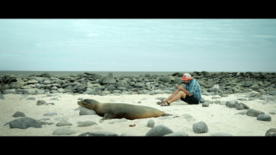 working-with-animals