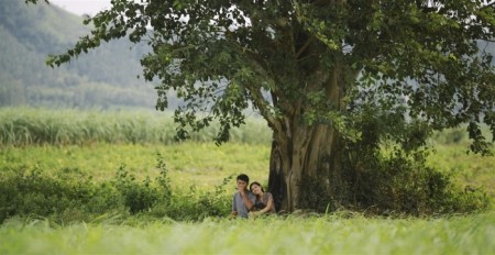 yellow-flowers-on-the-green-grass