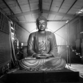 The Great Buddha