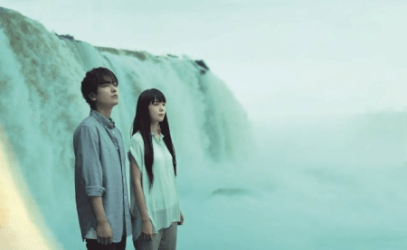 If Cats Disappeared from the World