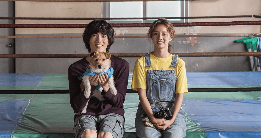 My Punch-Drunk Boxer