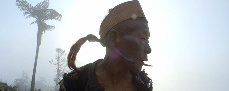 Last Headhunters of the Nagas