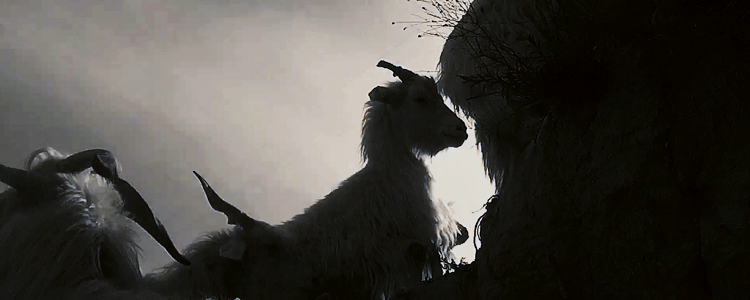 Ballad of Roaming Spirits