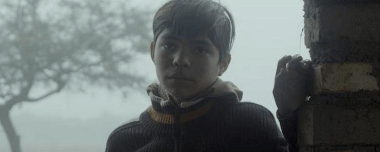 Identifying Features