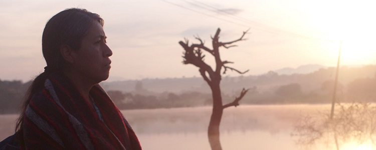 Identifying Features