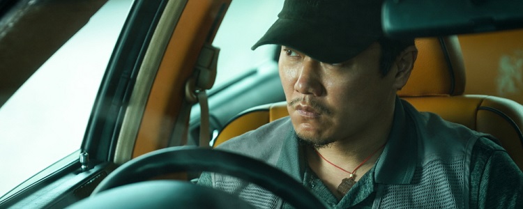 Sheep without a Shepherd