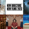 NDNF2023asian