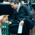 Hachiko_small